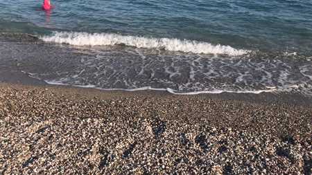 Satıcı için resim SanalFuar