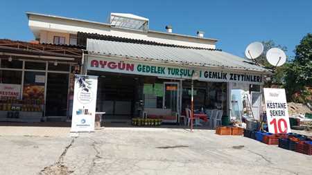 Satıcı için resim OSMAN AYGÜN GEDELEK TURŞULARI GEMLİK ZEYTİNLERİ