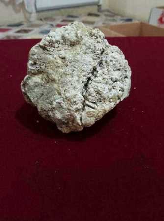 Satıcı için resim Ambergristr