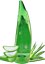 Organik Aloe Vera Jeli %98 250 ML Kore'den ithal resmi