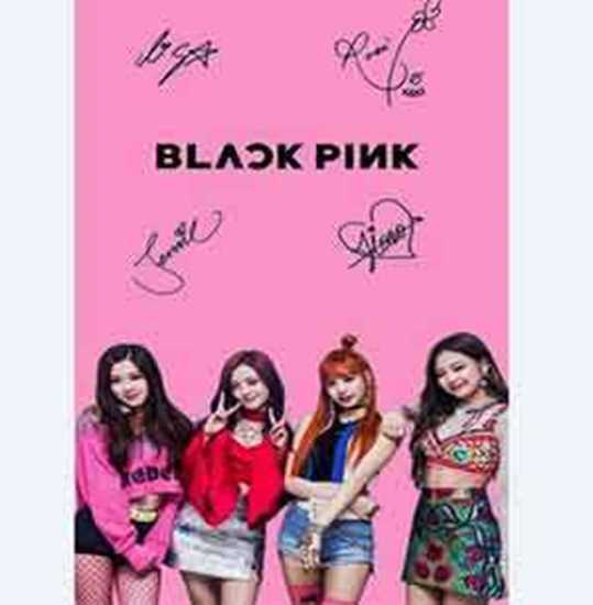 Black Pink Poster