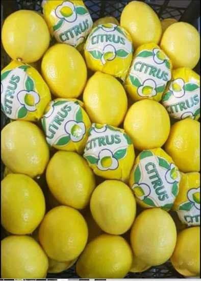 Limon resmi