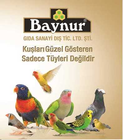 Satıcı için resim BAYNUR GIDA SAN DIŞ TİC LTD ŞTİ