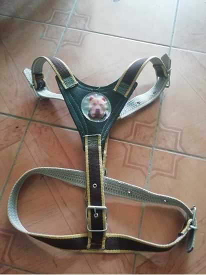 Picture of Köpek tasması