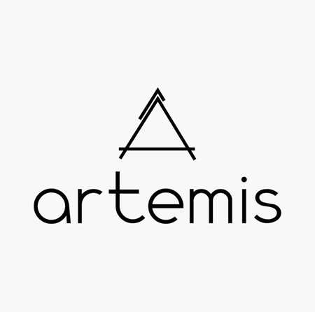 Satıcı için resim ArtemisStore