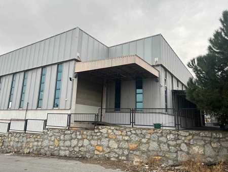 Satıcı için resim Gamma Doro